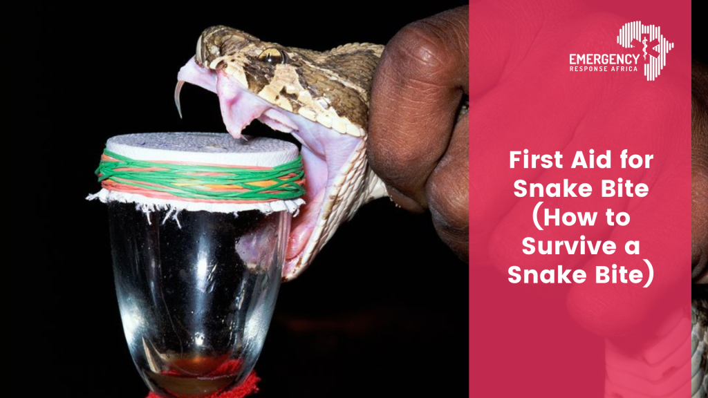 First Aid For Snake Bite How To Survive A Snake Bite Emergency